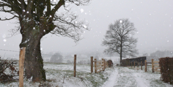 sneeuwlandschap