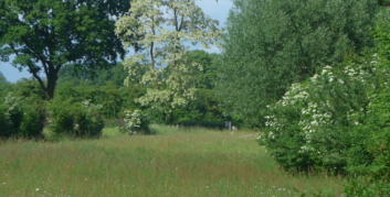 aarde in bloei